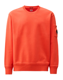 Pull CP Company Men Cotton Diagonal Fleece Crew Neck Poinciana