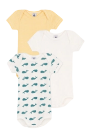 Body Petit Bateau 3 Bodies Us Mc Multi Whale (Set de 3)