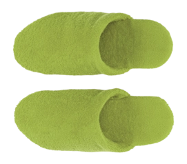 Frottee Badeslipper Abyss & Habidecor Alex Apple Green