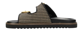 8---mi001601051w-01_1000_5-_no-bg