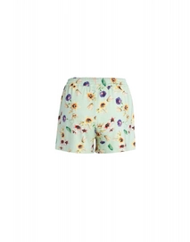 2---nori_fiorre_shorts_subtle_green_102156_679_lr_pb1_p