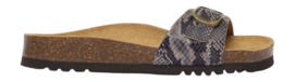 Slipper Scholl Women Estelle Synthetic Python Beige