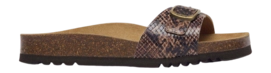 Slipper Scholl Women Estelle Synthetic Python Brown