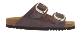 Tongs Scholl Femme Noelle Synthetic Reptile Brown