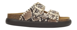 Slipper Scholl Noelle Chunky Synthetic Damen Python