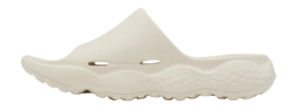 2---2027291_278_m-_no-bg