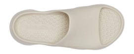 4---2027291_278_u-_no-bg