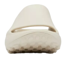 6---2027291_278_t-_no-bg