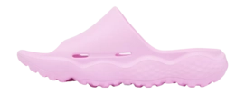 2---2027281_561_m_tt-_no-bg
