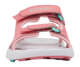 6---1594632_668_t-_no-bg