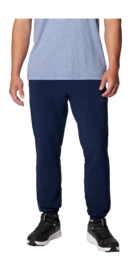Joggers Columbia Men Columbia Hike Jogger II Collegiate Navy