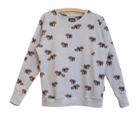 Sweater SNURK Women Hippos