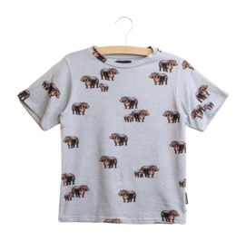 T-Shirt SNURK Hippos Kinder Grau