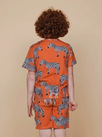 4---SS25_Zebra_Kids_TshirtShorts_898