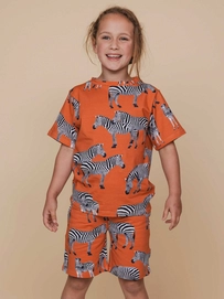 2---SS25_Zebra_Kids_TshirtShorts_914