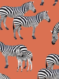5---A4_sample_zebras