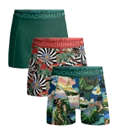 Boxershorts Muchachomalo Jackbean Alicewonder Herren Green / Print (3er-Pack)