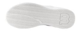 8---WRS334450__682797820950c9987a97f94f0800b44c