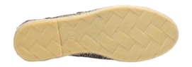 6---1200x430-_no-bg