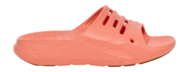 2---1166790-BDH_1