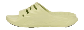 3---1166790-SDLN_3