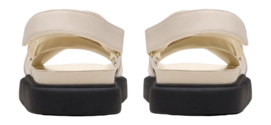 26181257_GW_5