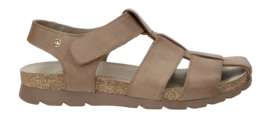Sandaal Panama Jack Men Stanley C8 Napa Grass Taupe