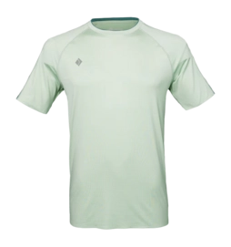 Sportshirt JDH Performance Tee Herren Sage