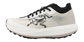 Running Shoes Arc'teryx Men Sylan Pro Arctic Silk Arctic Silk