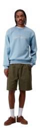 5---carhartt-sweat-bluebird-fleur-de-sel-2177 (7)