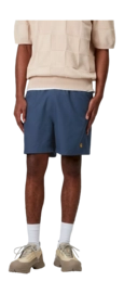 3---chase-swim-trunks-dusky-blue-gold-39 (2)