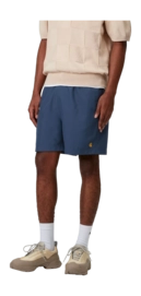 5---chase-swim-trunks-dusky-blue-gold-39 (4)