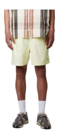 3---chase-swim-trunks-air-green-gold-34 (2)