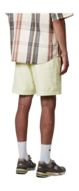 4---chase-swim-trunks-air-green-gold-34 (3)
