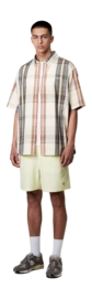 6---chase-swim-trunks-air-green-gold-34 (5)