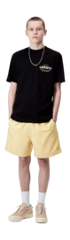 6---chase-swim-trunks-air-yellow-gold-31 (5)