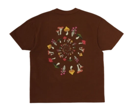 2---SAB_shroomsbruin2