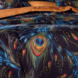 3---peafowl_detail-1