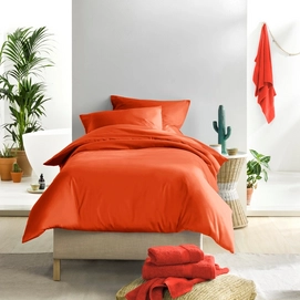 3---Olivia_1P_rooibos_full
