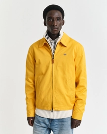 time__1733242216__202501-7006494-705-model-fit-1