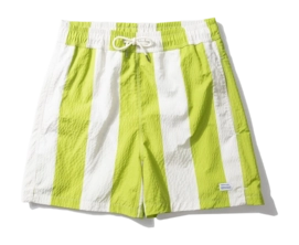 Swim Shorts Edmmond Studios Men Striped Seersucker Green