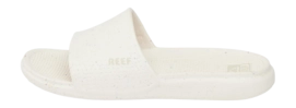 2---51WIGXpLmkL._AC_SY625_
