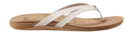 CJ3677-2
