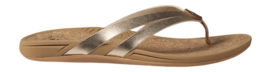 CJ3678-2