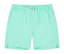 Badehose Barts Alroy Shorts Herren Light Mint