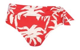 Bikini Bottoms Barts Women Norri High Waist Briefs Red