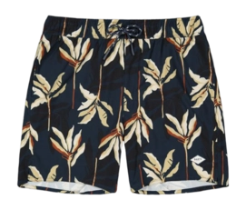 Badehose Barts Fervis Shorts Herren Navy