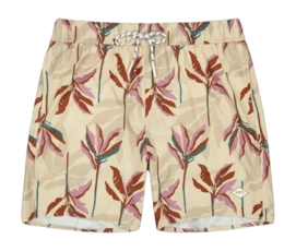 Zwembroek Barts Men Fervis Shorts Cream