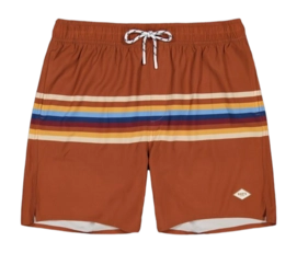 Zwembroek Barts Men Gurrad Shorts Terra