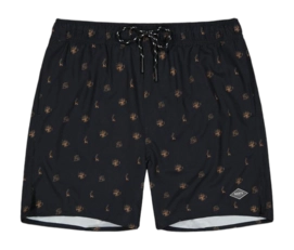 Zwembroek Barts Men Jerrick Shorts Black